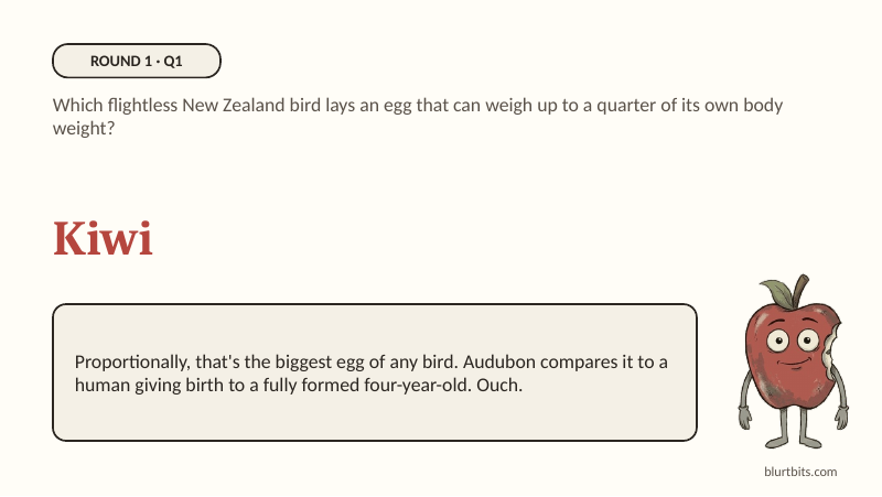 Preview of Animal Kingdom Quiz Night